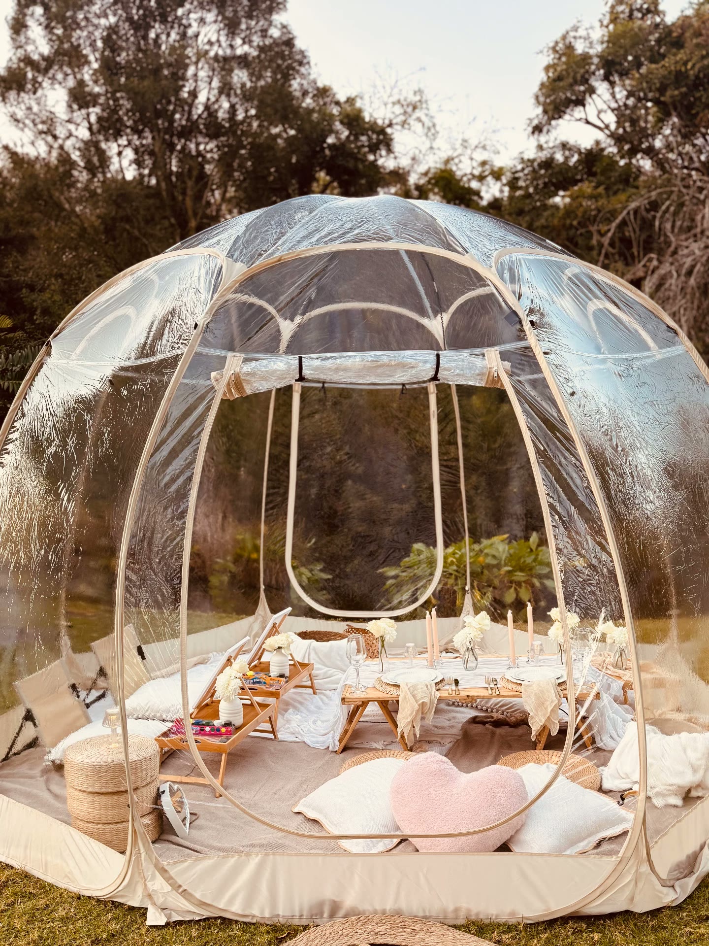 Picnic lounge setup