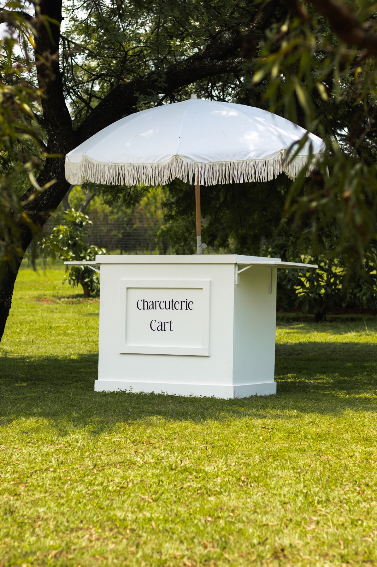 Charcuterie cart with fringed umbrella on a lawn